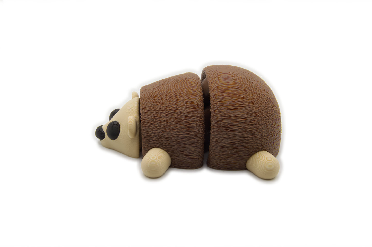 Cute Baby Hedgehog