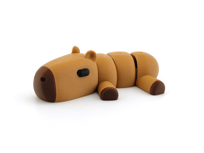 Cute Baby Capybara