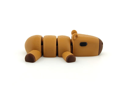 Cute Baby Capybara