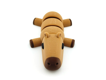 Cute Baby Capybara