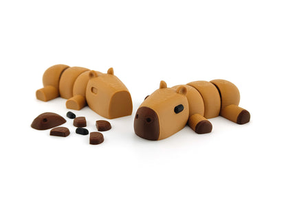 Cute Baby Capybara