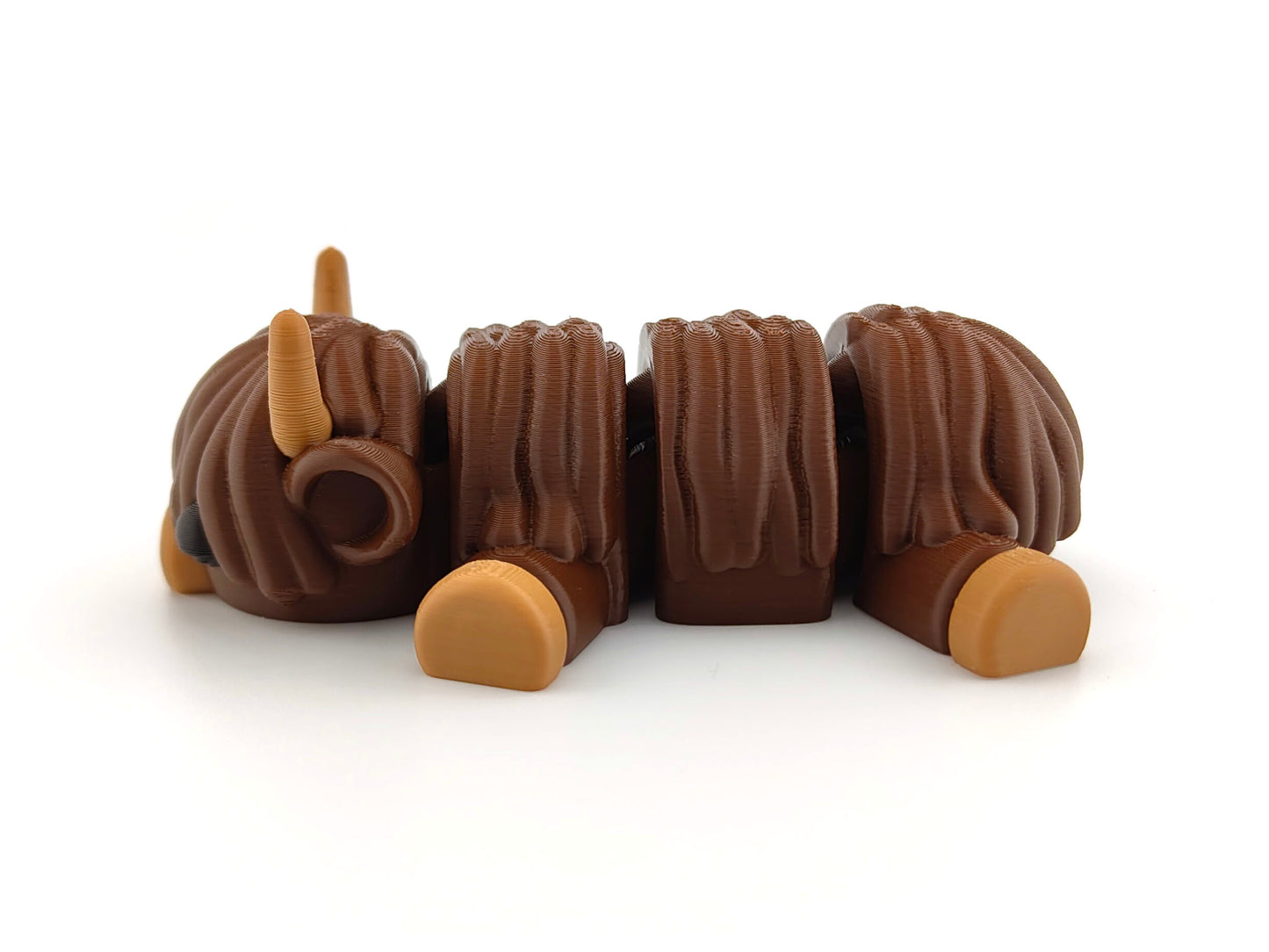 Cute Baby Cow (Highland)