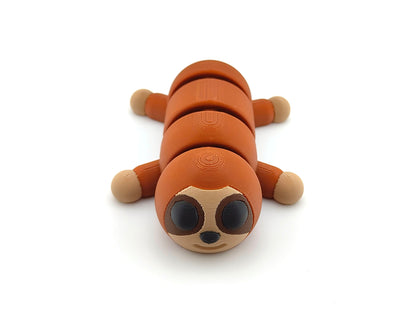 Cute Baby Sloth