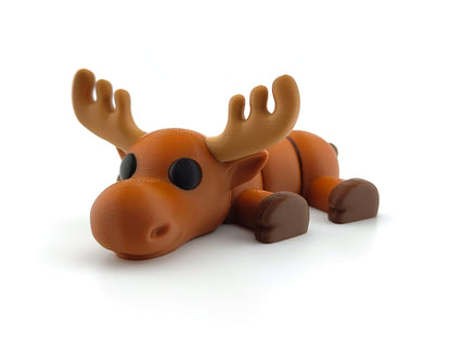 Cute Baby Moose