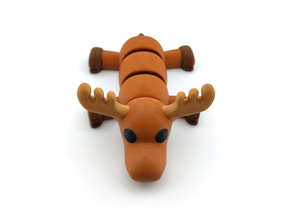 Cute Baby Moose