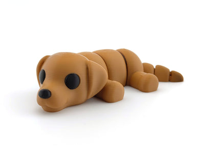 Cute Baby Dog