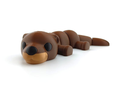 Cute Baby Otter
