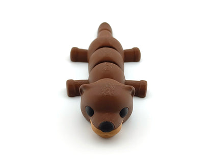 Cute Baby Otter