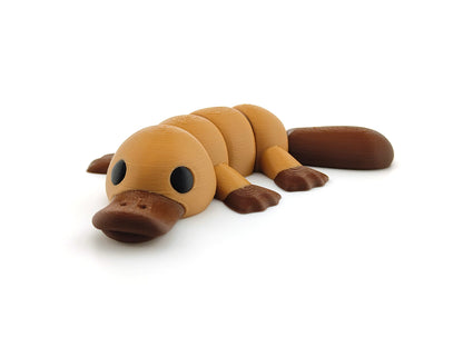 Cute Baby Platypus