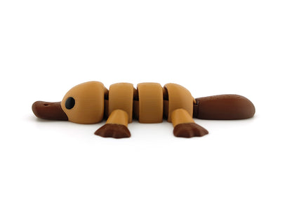 Cute Baby Platypus