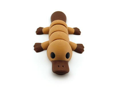 Cute Baby Platypus