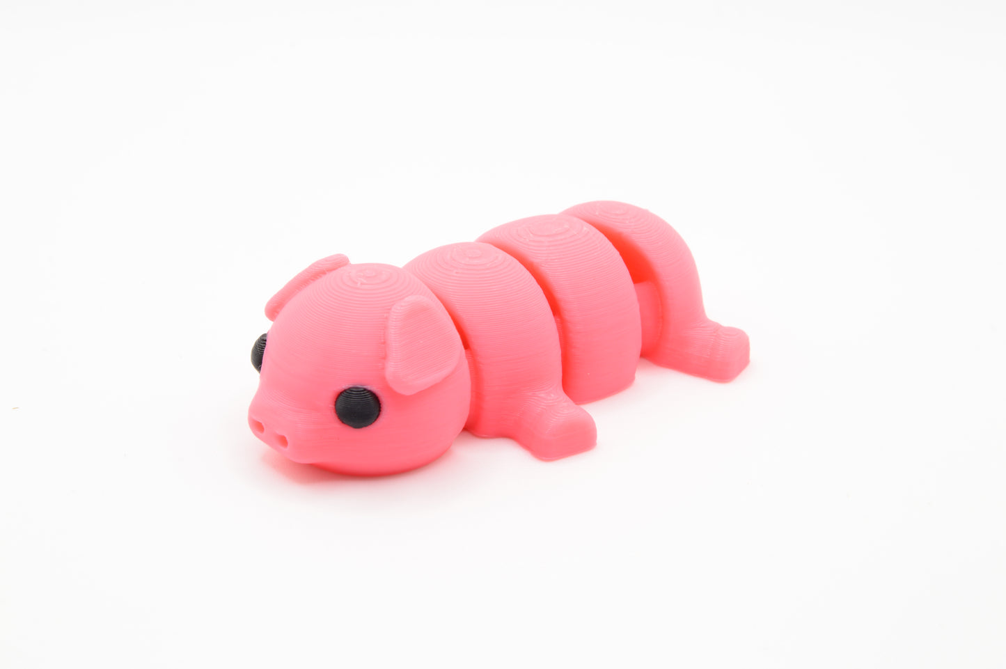 Cute Baby Pig