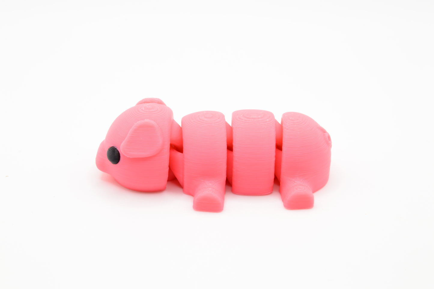 Cute Baby Pig