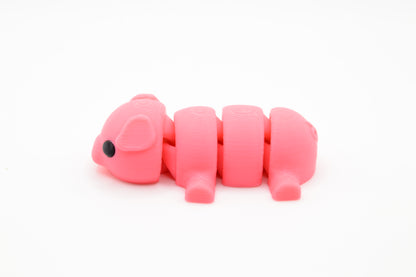 Cute Baby Pig