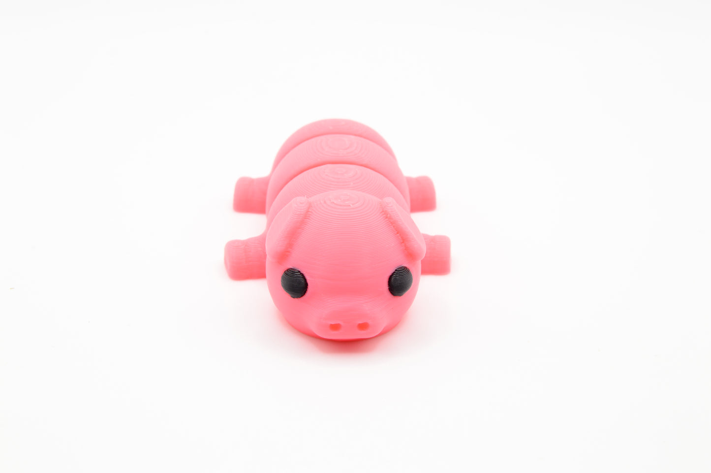 Cute Baby Pig