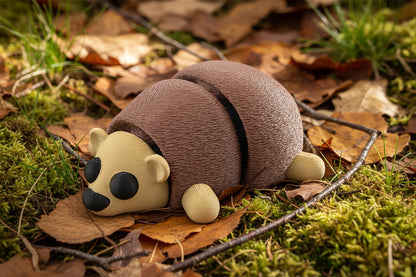 Cute Baby Hedgehog
