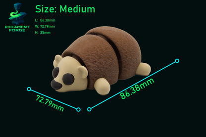 Cute Baby Hedgehog