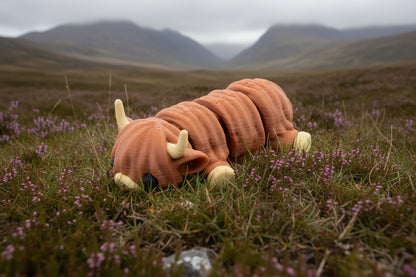 Cute Baby Cow (Highland)