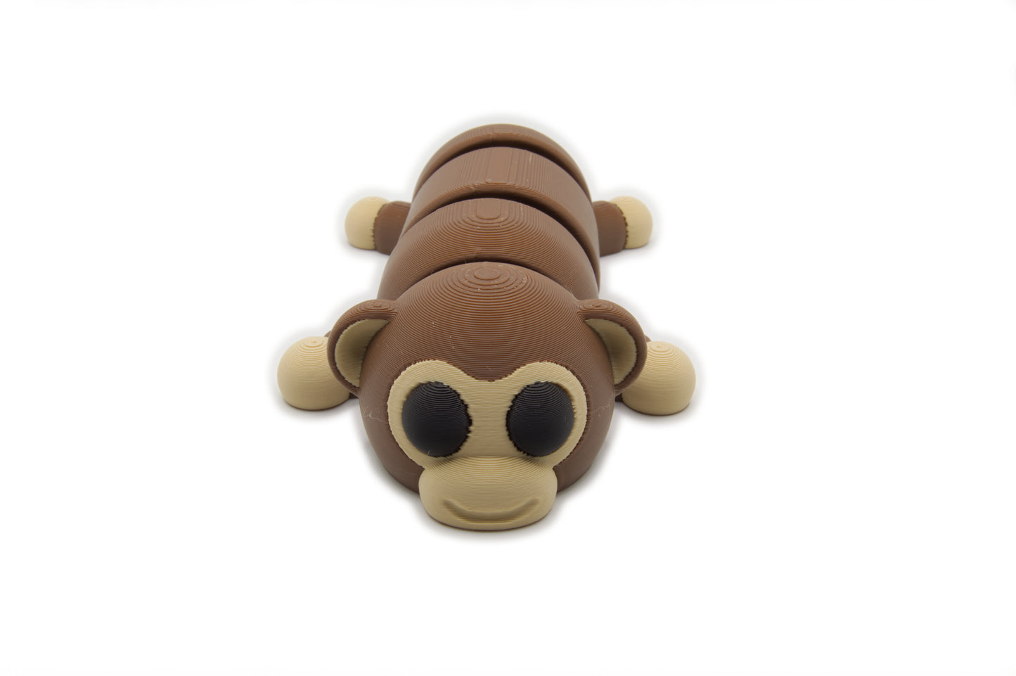 Cute Baby Monkey