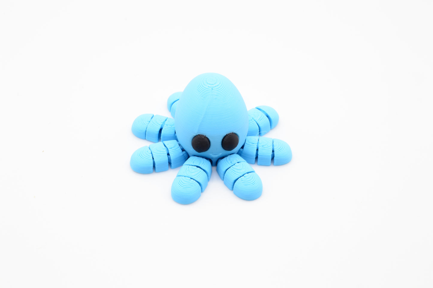 Cute Baby Octopus