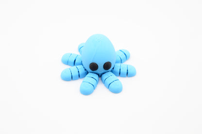 Cute Baby Octopus