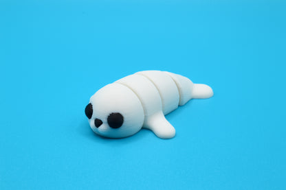 Cute Baby Seal