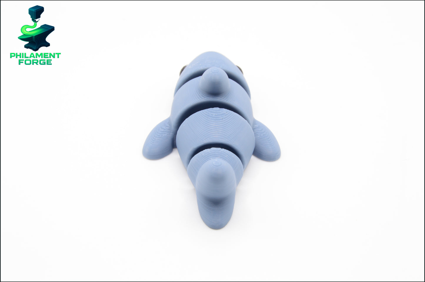 Cute Baby Shark