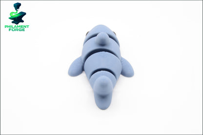 Cute Baby Shark